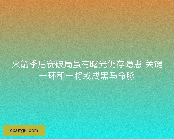 火箭季后赛破局虽有曙光仍存隐患 关键一环和一将或成黑马命脉