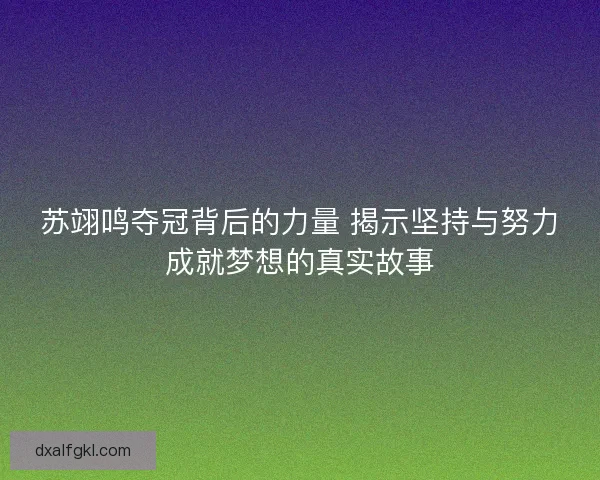 苏翊鸣夺冠背后的力量 揭示坚持与努力成就梦想的真实故事